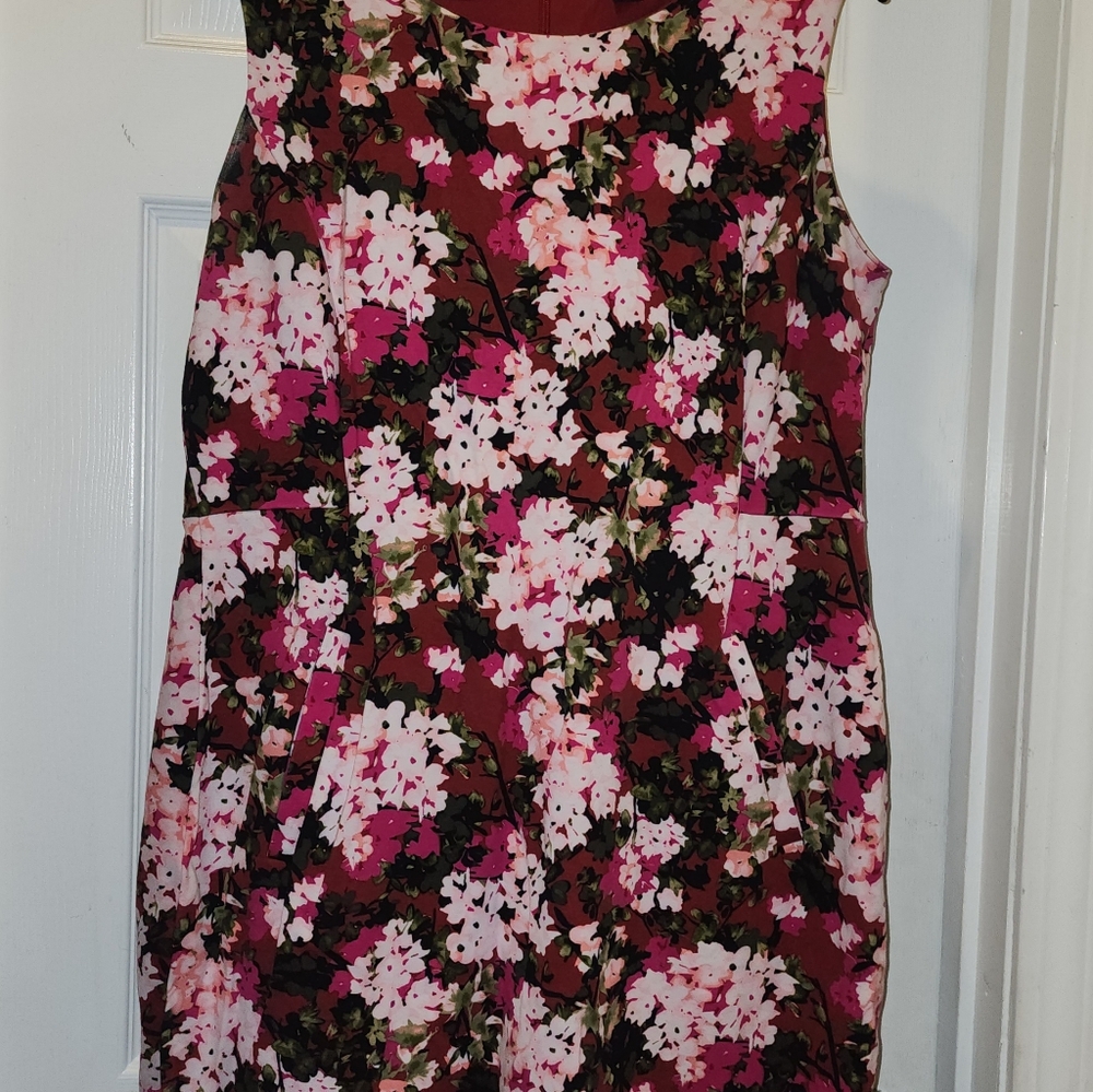 Lands' End Red and Pink Floral Dress